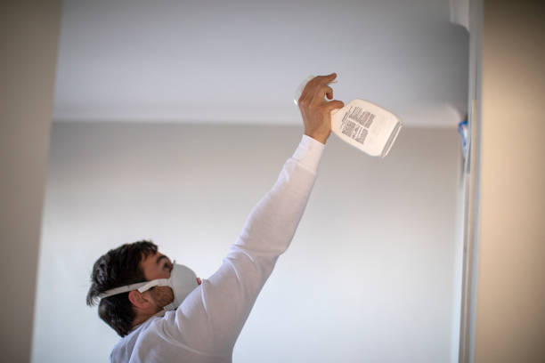 Best Toxic Mold Removal  in Hartsville, TN