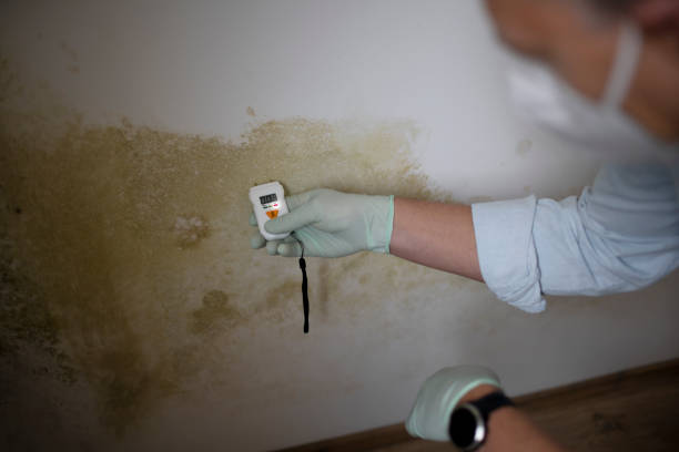 Best Mold Cleaning Services  in Hartsville, TN