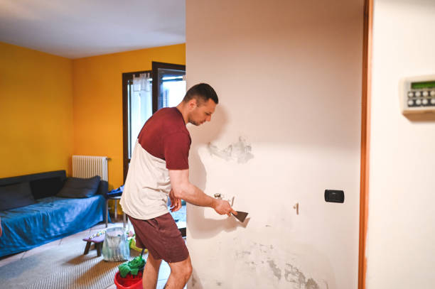 Best Emergency Mold Removal  in Hartsville, TN